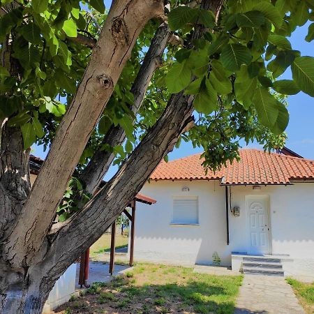 마크리기알로스 White Clam Vintage House With Sea View & Garden 빌라 외부 사진